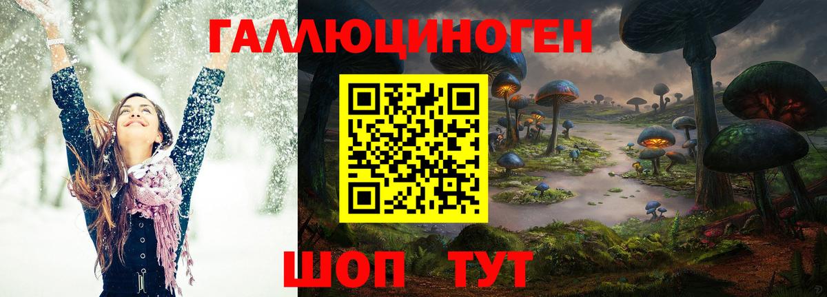 Галлюциногенные грибы Cubensis  Вход с VPN  Грязи  Галлюциногенные грибы MAGIC MUSHROOMS 