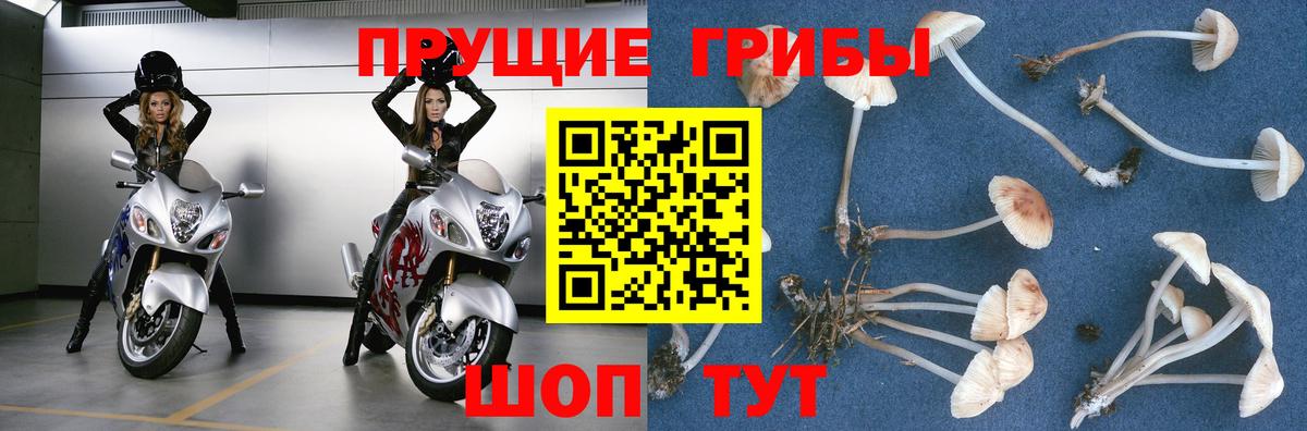 Псилоцибиновые грибы мухоморы Грязи